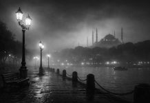 İstanbul Şiirlerinin Sis Lambaları