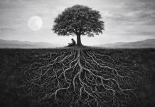 Poetika Açısından Sadelik–Aşırılık Gerilimi